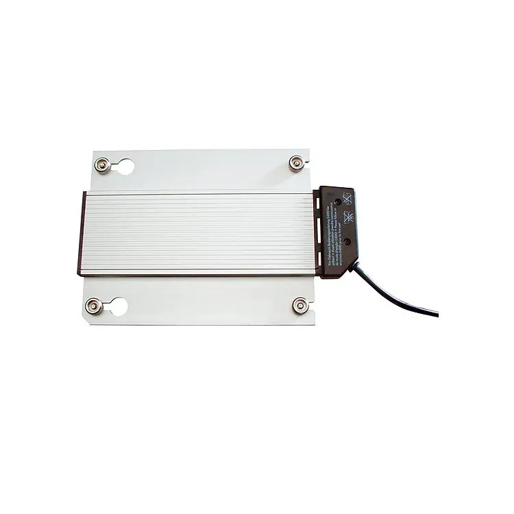 Resistencia Chafing Dish 600 W.