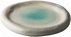 Zz26 Plato Llano Blue Lagoon 25 Cm.