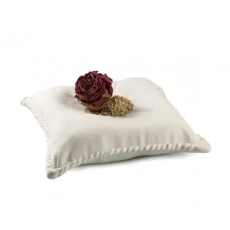 Plato Cojin The Pillow 