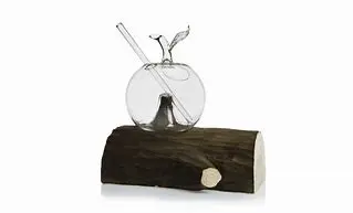 Vaso Manzana En Tronco De Madera