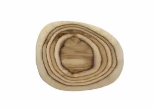 DLR Fuente Organic Madera Veins 23x20 cm.
