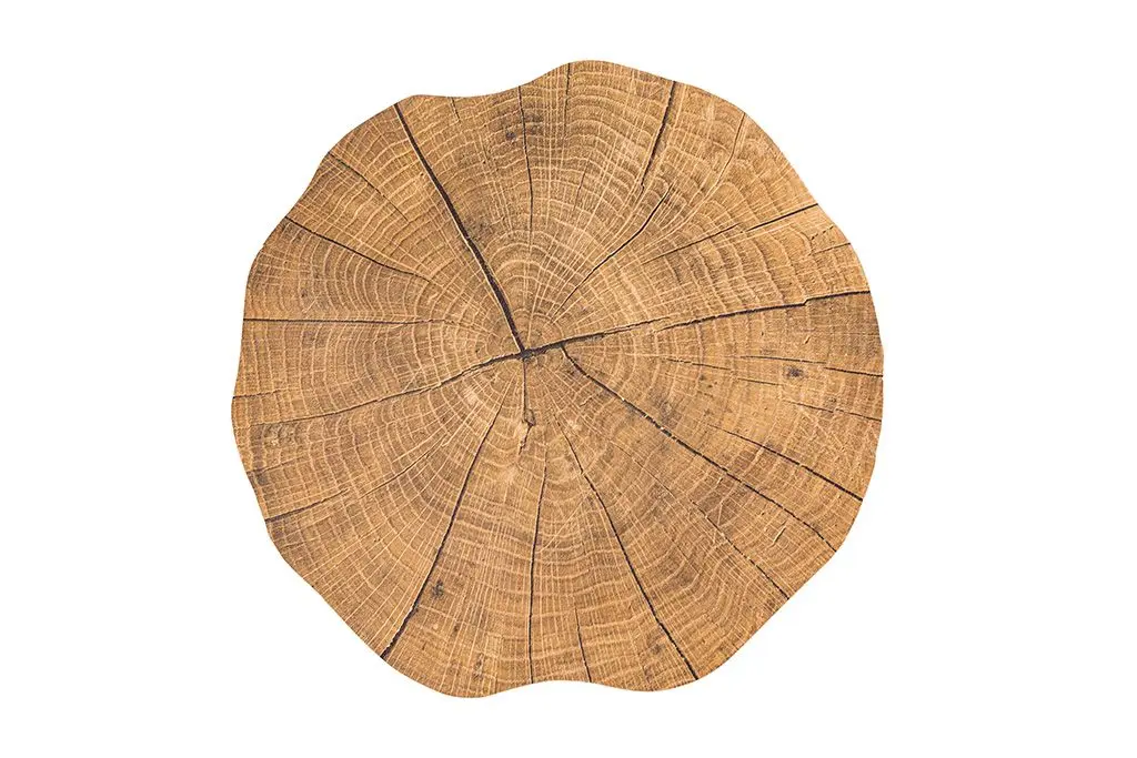 Mantel Individual Togo Tronco Pino 38 Cm.