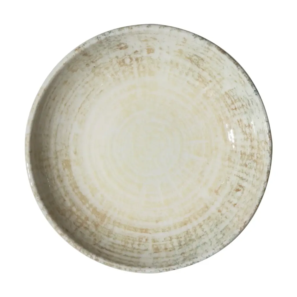 Plato Hondo Fosil 21 Cm.