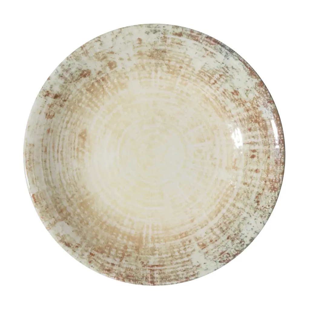 Plato Llano Fosil 21 Cm.
