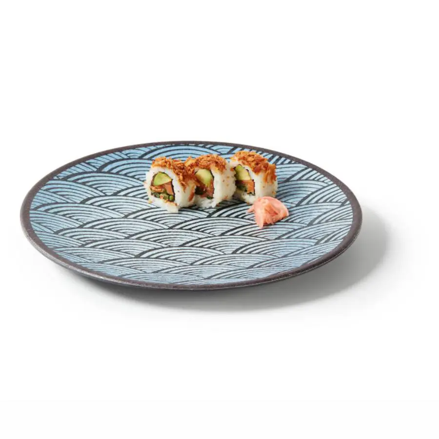 Plato Melamina Ocean 22 Cm.