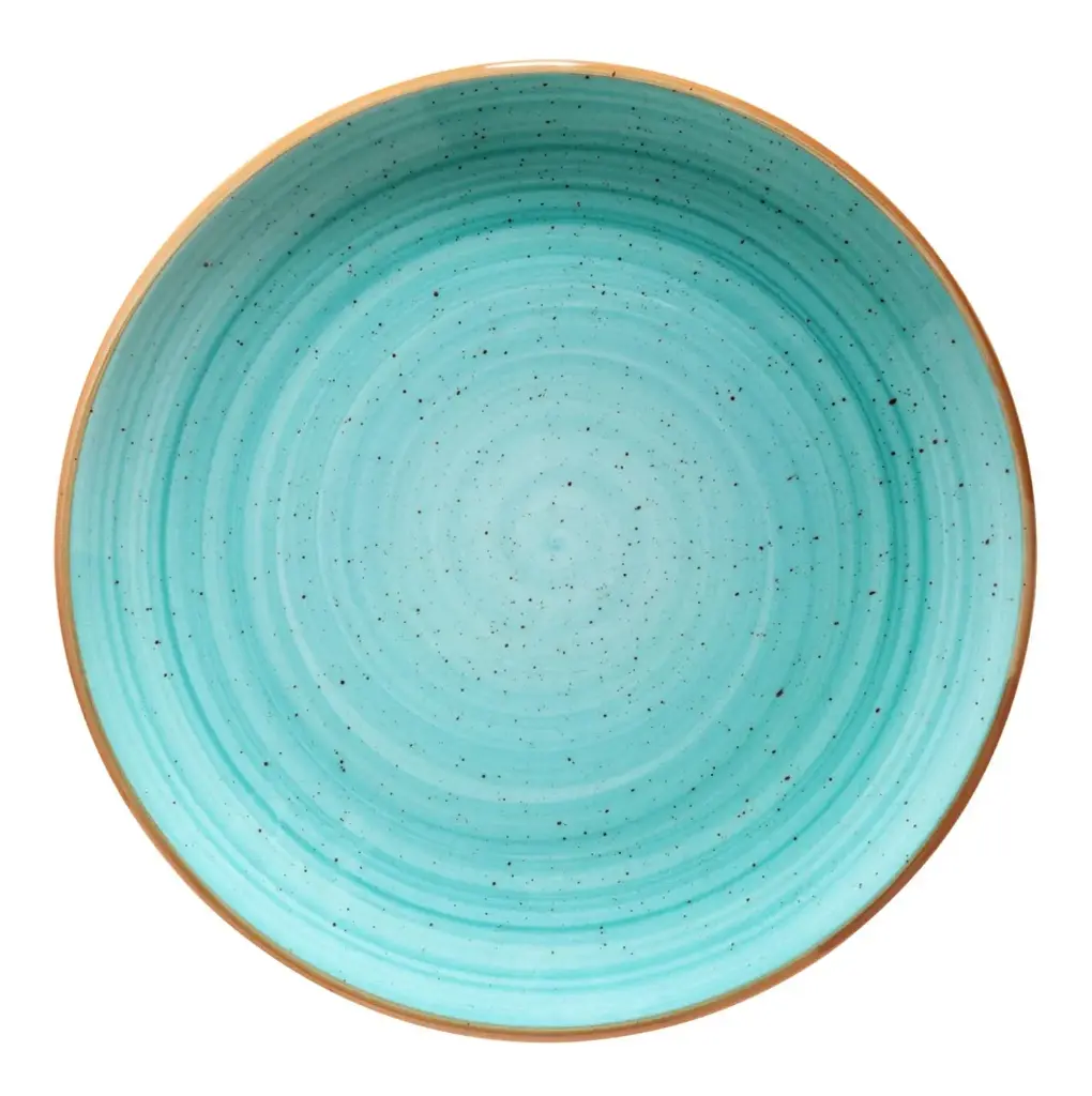 Plato Presentacion Gourmet Aqua  30 Cm.