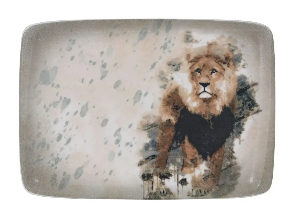 ZZ26 Fuente Rectangular Savanna Leon 29X21 Cm.