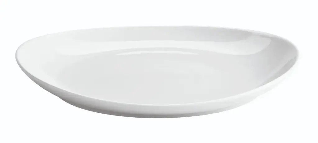 Fuente Steak 30X28X3,7 Cm.