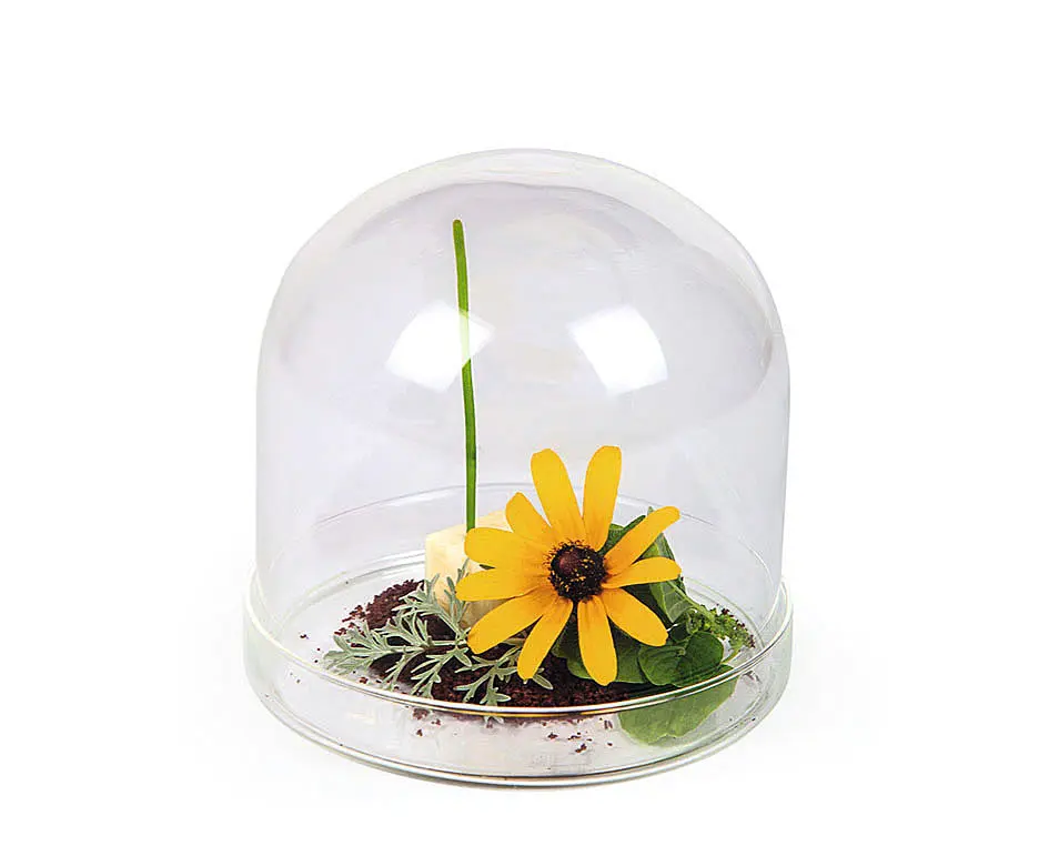 Campana Degustacion C/Plato Borosilicato 11X10,5 Cm.