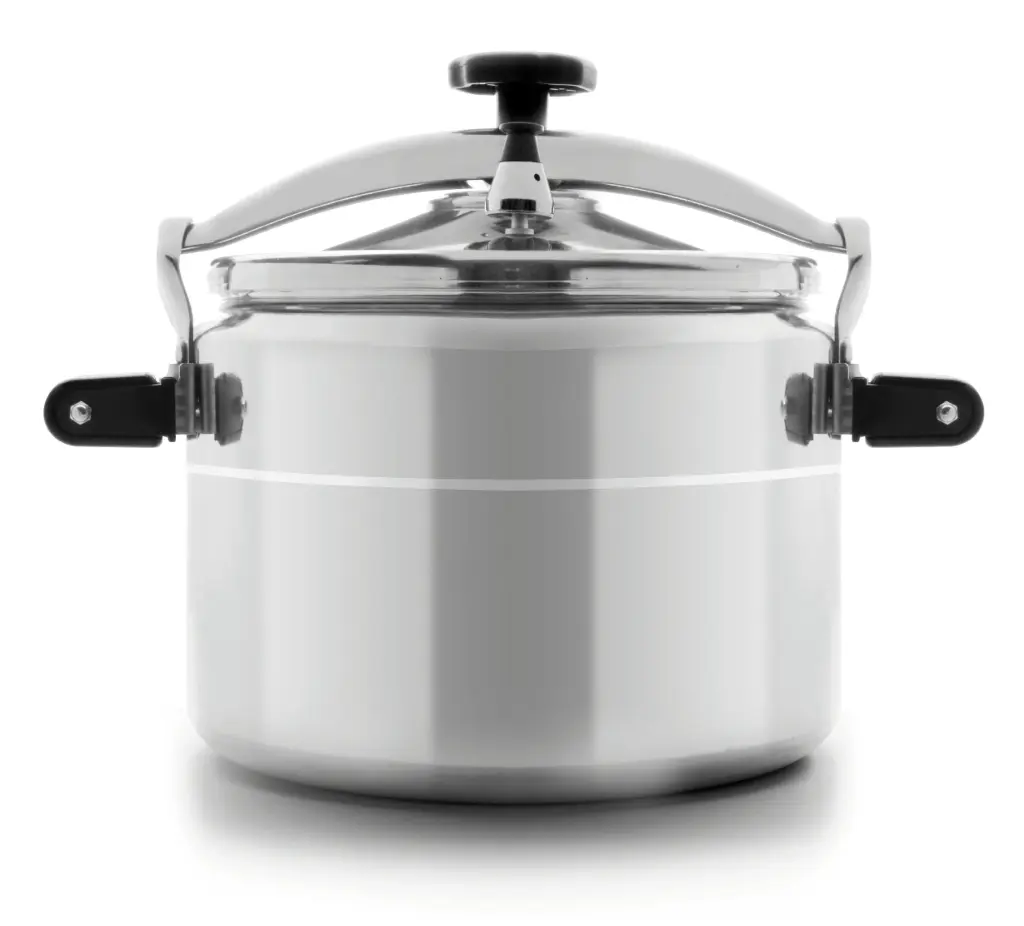 Olla A Presion Pro-Classic 33 L.