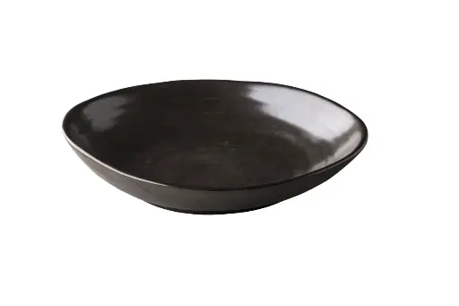[QR17022] Plato Hondo Chameleon Metalico 24 Cm.