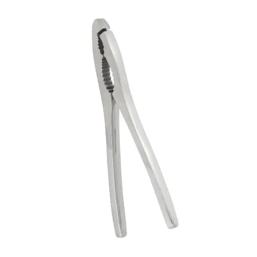 [251047000] Pinza Rompe Marisco Inox.
