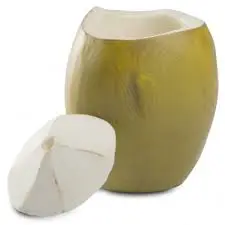 [300/0003] Vaso Coco Loco Resina