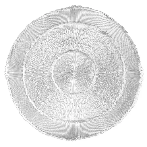 [ZZ0536 SILVER] Mantel Individual Capellini Plata Rectangular 45X30 Cm.