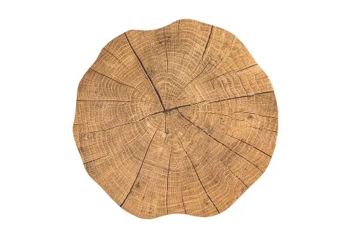 [ZZ0556 WOOD ] Mantel Individual Togo Tronco Pino 38 Cm.
