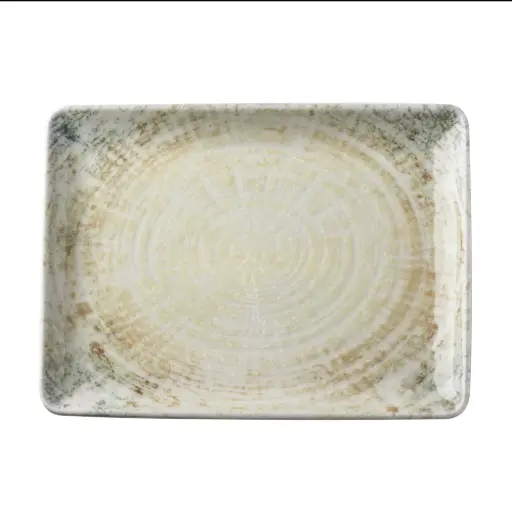 [4742] Fuente Rectangular Fosil 23X17 Cm.