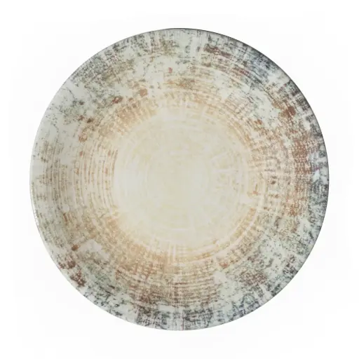 [4737] Plato Llano Fosil 27 Cm.