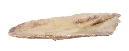 [P1505030] Fuente Mejillon Momi 52X23.5X5.5 Cm.