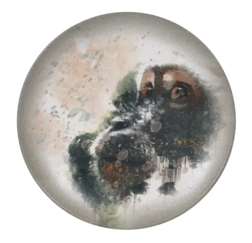 [B928002AH] ZZ26 Plato Llano Savanna Mono 27X2,5 Cm.