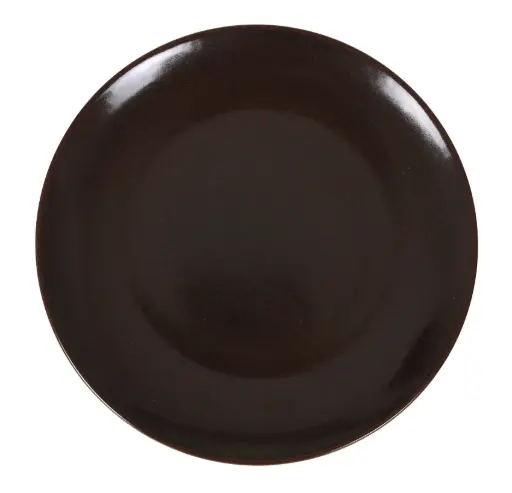 [B928002AG] Zz26 Plato Llano Gourmet Terre  27X2,5 Cm.             