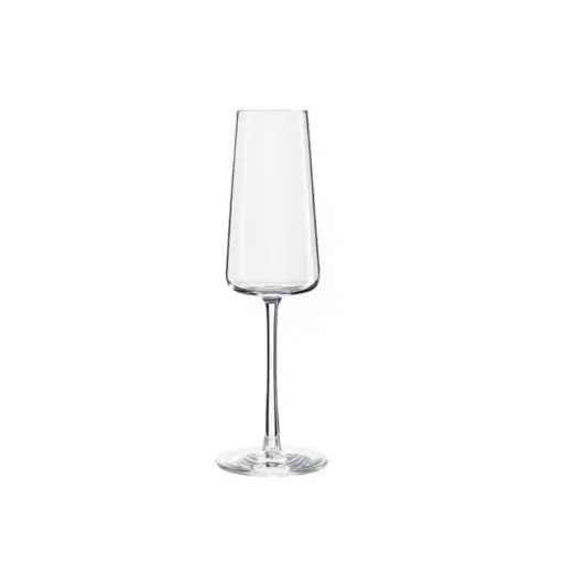 [B657P1590029] COPA CHAMPAGNE POWER 24 CL.