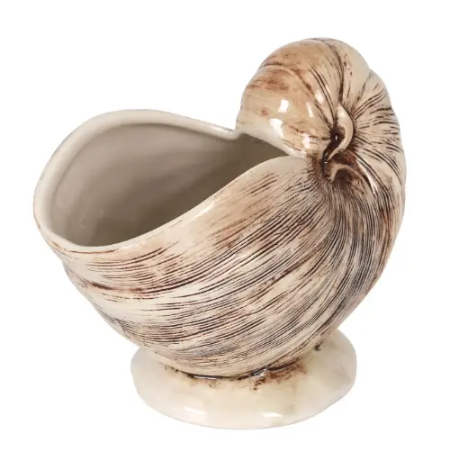 [B1049042] Tiki Nautilus 50 Cl.