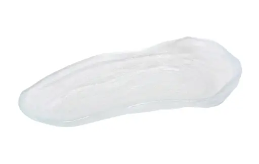 [B858001] ZZ26 FUENTE FRISIA 22X12X3,5 CM.